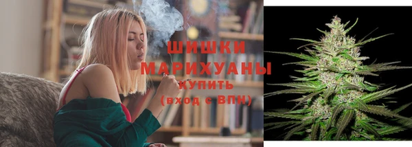 трава Козельск