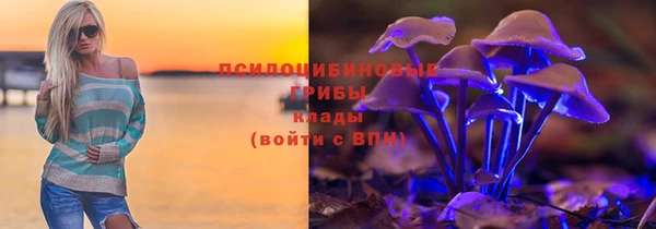 трава Козельск