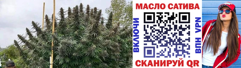 Купить  Сычёвка  ТГК концентрат 
